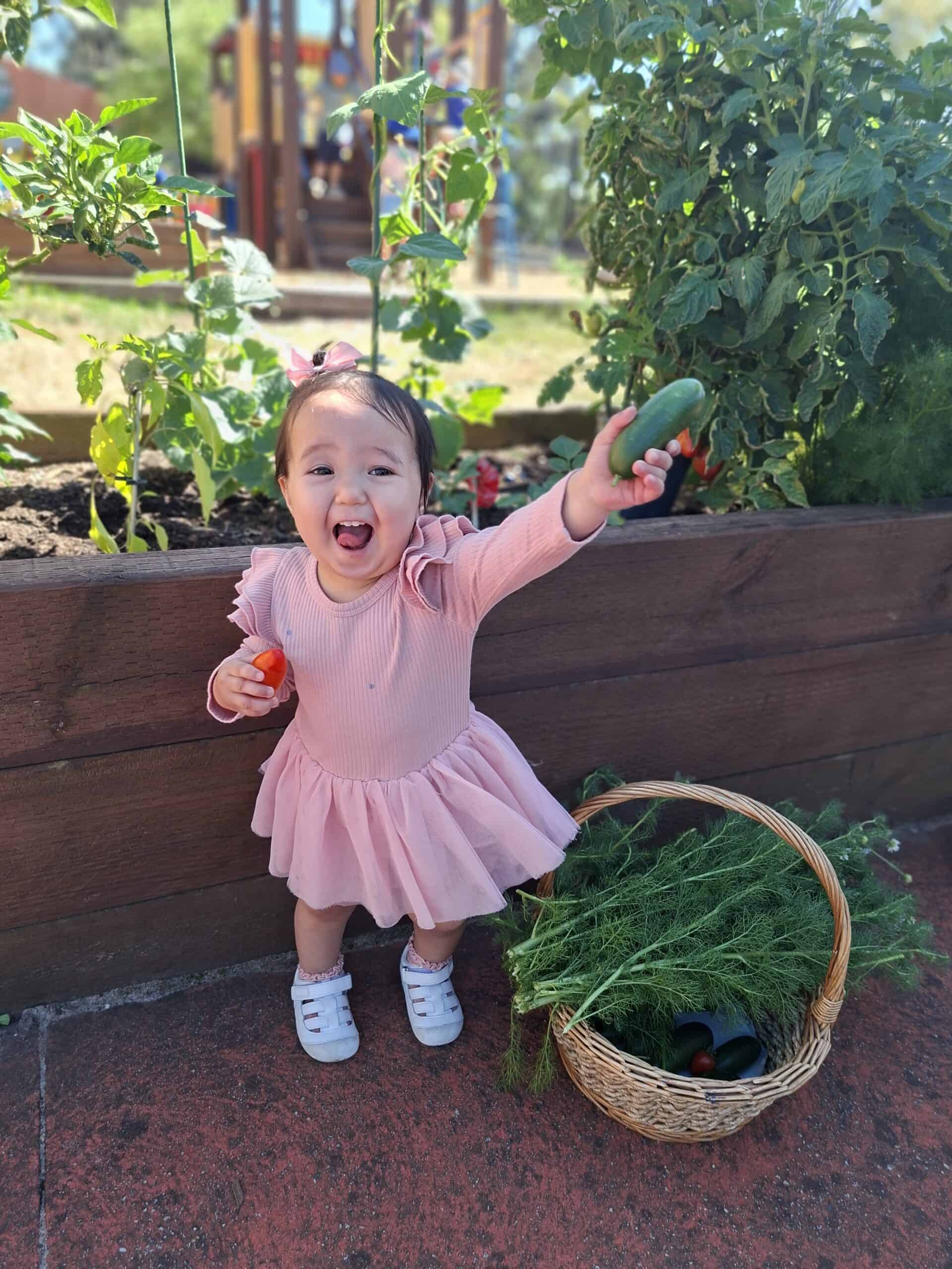 Harvesting our Hard work! Look what we grew